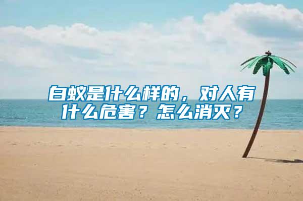 白蟻是什么樣的，對人有什么危害？怎么消滅？