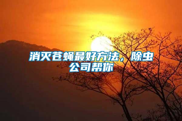 消滅蒼蠅最好方法，除蟲公司幫你