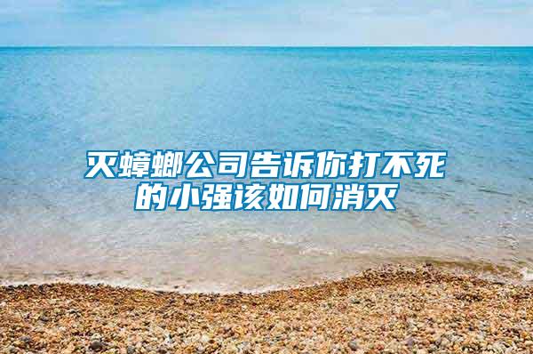 滅蟑螂公司告訴你打不死的小強該如何消滅