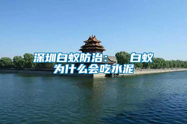 深圳白蟻防治:  白蟻為什么會(huì)吃水泥
