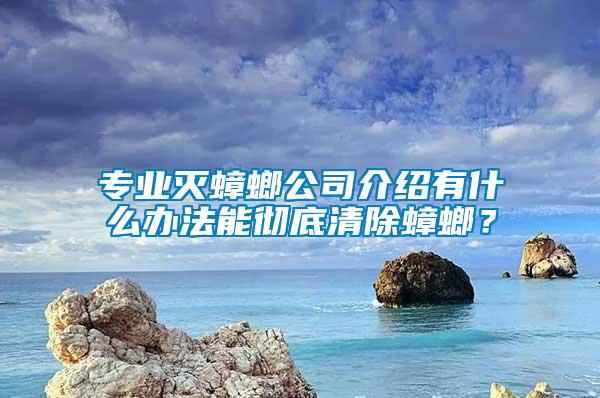 專業(yè)滅蟑螂公司介紹有什么辦法能徹底清除蟑螂？