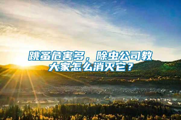 跳蚤危害多,除蟲公司教大家怎么消滅它?