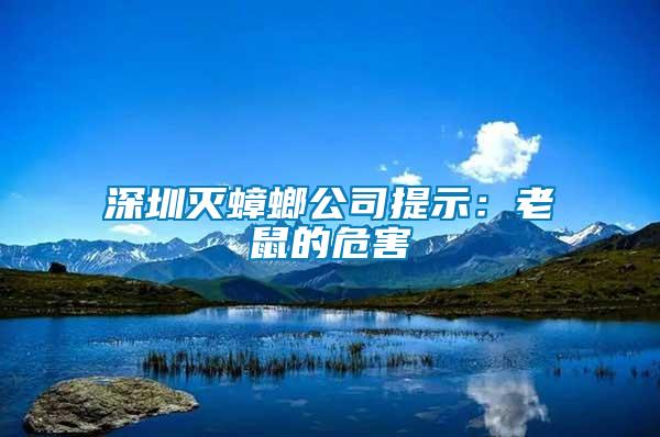 深圳滅蟑螂公司提示:老鼠的危害