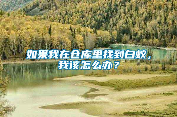 如果我在倉庫里找到白蟻,我該怎么辦?