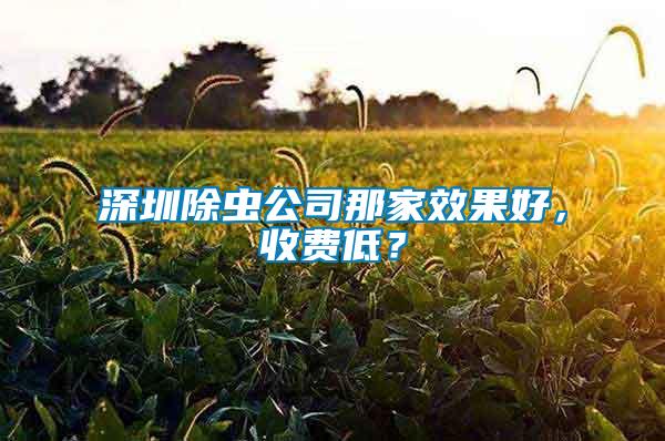 深圳除蟲公司那家效果好，收費低？