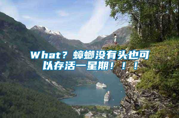 What？蟑螂沒有頭也可以存活一星期?。。?/></p>
             <p style=