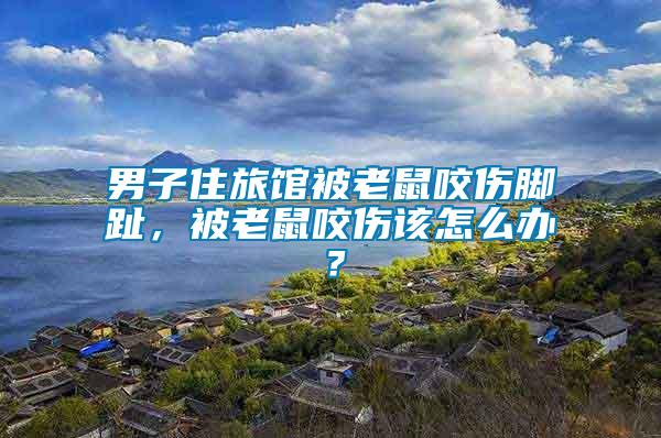 男子住旅館被老鼠咬傷腳趾，被老鼠咬傷該怎么辦？
