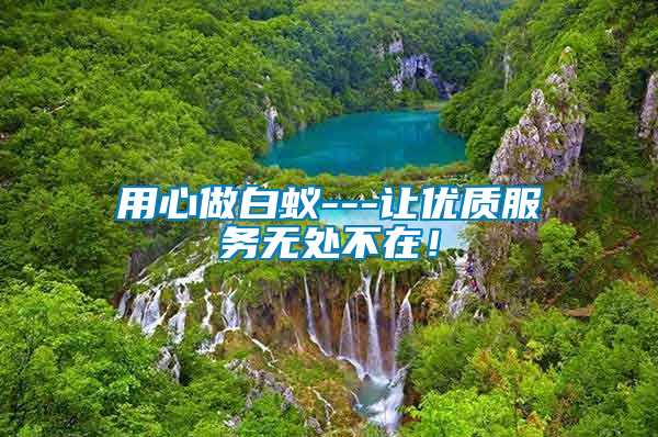 用心做白蟻---讓優質服務無處不在!