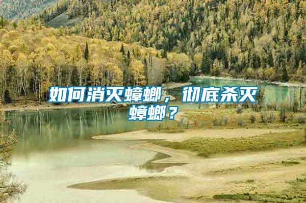 如何消滅蟑螂，徹底殺滅蟑螂？