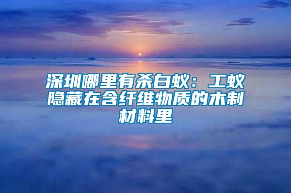 深圳哪里有殺白蟻:工蟻隱藏在含纖維物質(zhì)的木制材料里