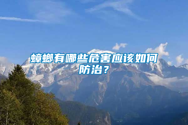 蟑螂有哪些危害應該如何防治?