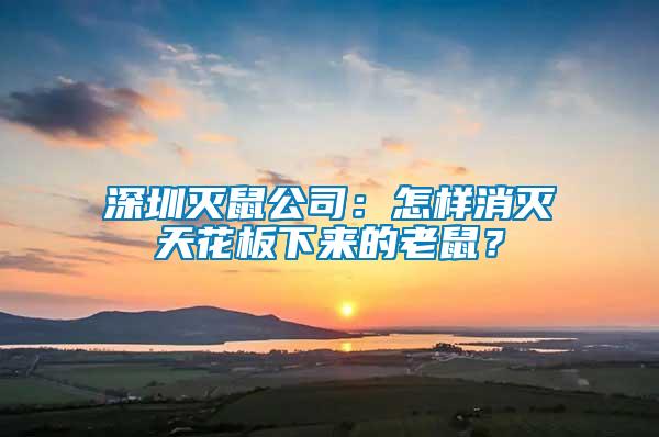 深圳滅鼠公司:怎樣消滅天花板下來(lái)的老鼠?