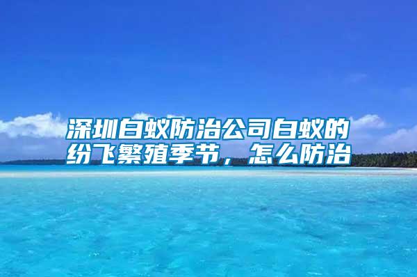 深圳白蟻防治公司白蟻的紛飛繁殖季節,怎么防治