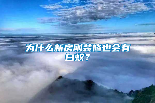 為什么新房剛裝修也會有白蟻？