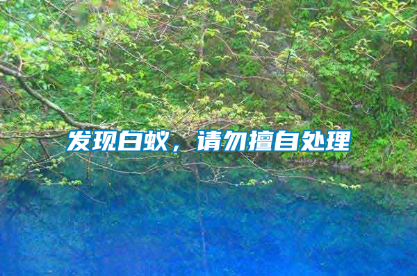 發現白蟻，請勿擅自處理