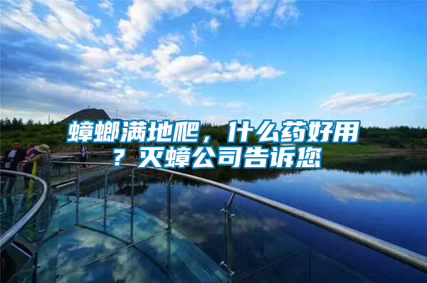 蟑螂滿地爬，什么藥好用？滅蟑公司告訴您