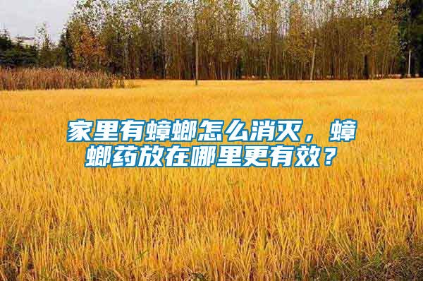 家里有蟑螂怎么消滅，蟑螂藥放在哪里更有效？