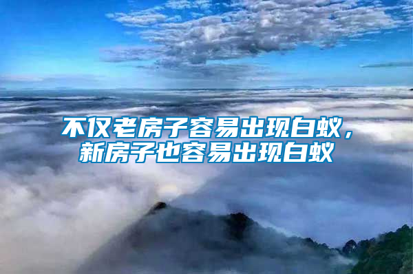 不僅老房子容易出現(xiàn)白蟻，新房子也容易出現(xiàn)白蟻