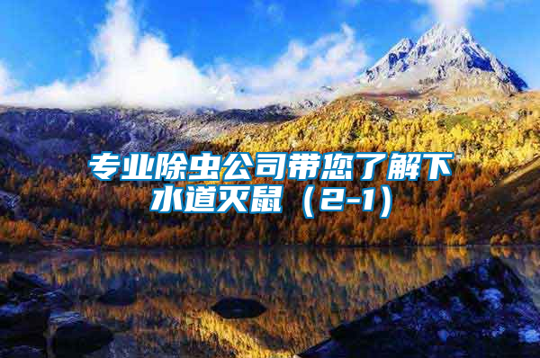 專業除蟲公司帶您了解下水道滅鼠(2-1)