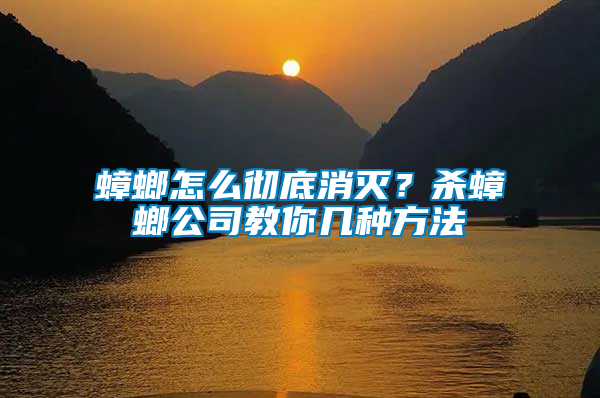 蟑螂怎么徹底消滅？殺蟑螂公司教你幾種方法