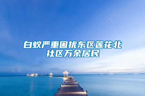 白蟻嚴重困擾東區蓮花北社區萬余居民