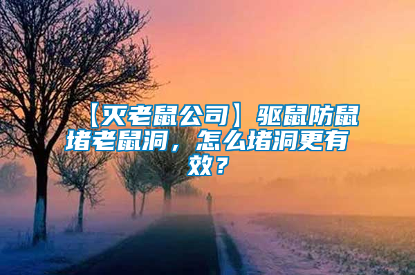 【滅老鼠公司】驅鼠防鼠堵老鼠洞，怎么堵洞更有效？