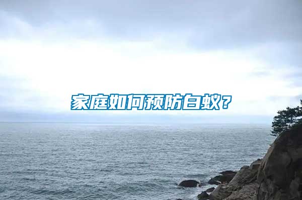 家庭如何預防白蟻？