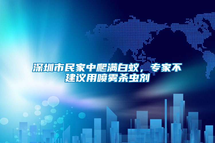 深圳市民家中爬滿白蟻，專家不建議用噴霧殺蟲劑