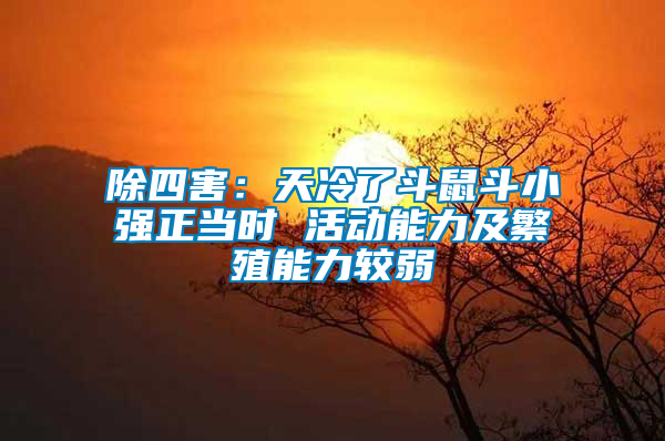 除四害:天冷了斗鼠斗小強(qiáng)正當(dāng)時(shí) 活動(dòng)能力及繁殖能力較弱