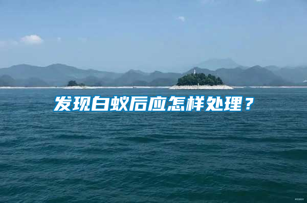 發現白蟻后應怎樣處理？