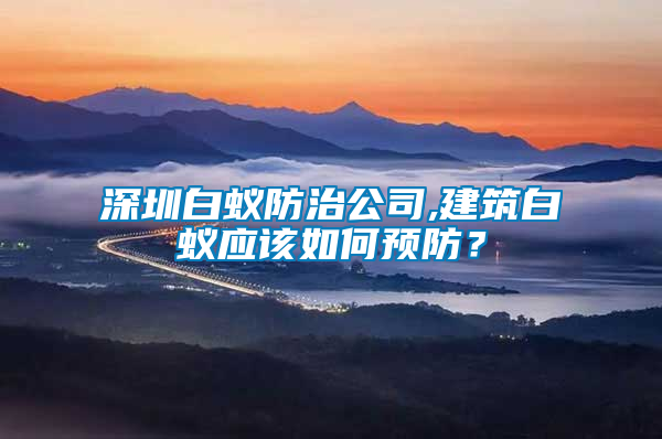 深圳白蟻防治公司,建筑白蟻應(yīng)該如何預(yù)防？