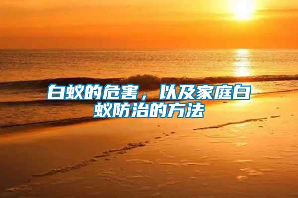 白蟻的危害，以及家庭白蟻防治的方法