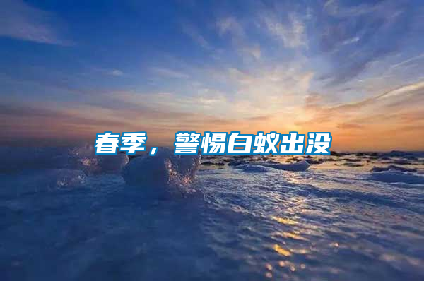 春季,警惕白蟻出沒