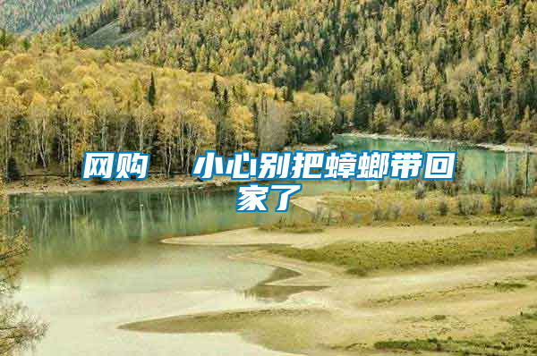 網購  小心別把蟑螂帶回家了