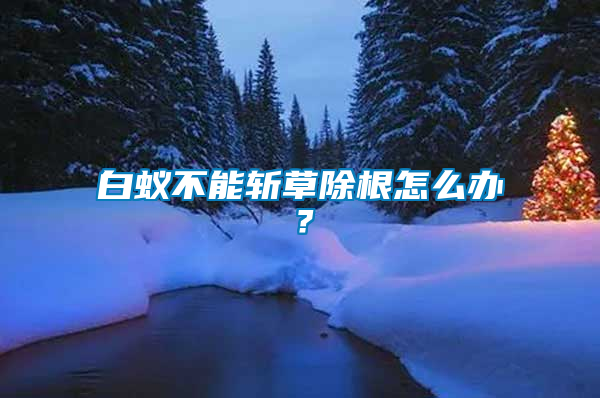 白蟻不能斬草除根怎么辦？
