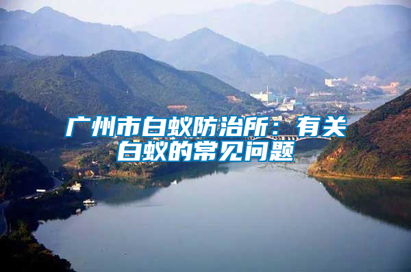 廣州市白蟻防治所:有關白蟻的常見問題