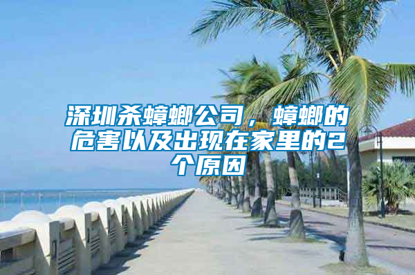 深圳殺蟑螂公司,蟑螂的危害以及出現在家里的2個原因